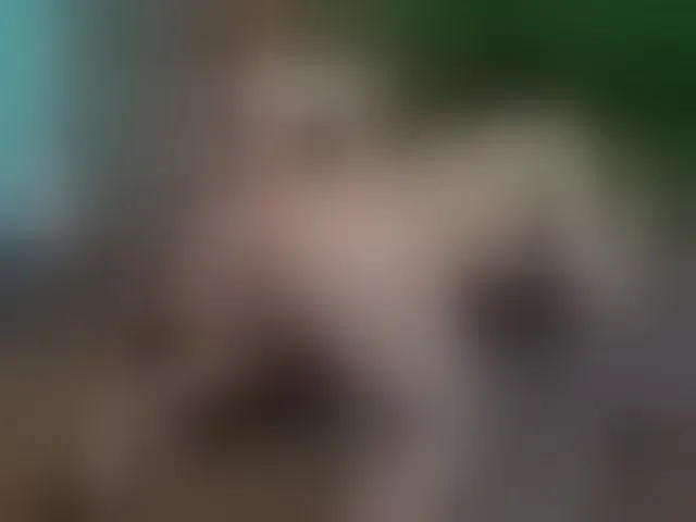 Live sex webcam photo for SelenSummer #292524263