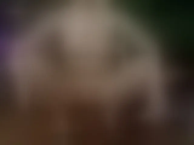 Live sex webcam photo for SelenSummer #292791005
