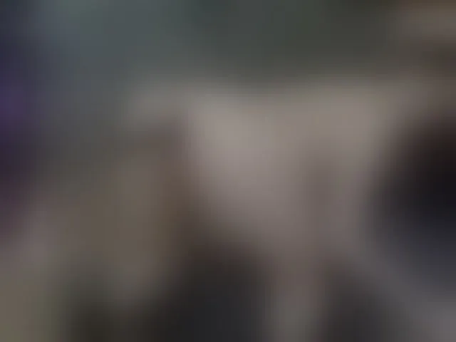 Live sex webcam photo for SelenSummer #293356661