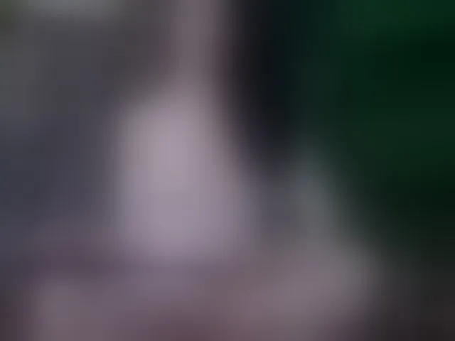 Live sex webcam photo for SelenSummer #293600254