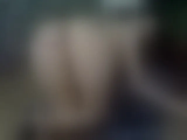 Live sex webcam photo for SelenSummer #293929460