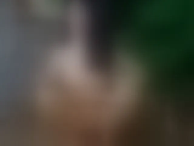 Live sex webcam photo for SelenSummer #293996153
