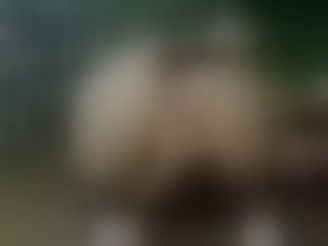 Live sex webcam photo for SelenSummer #294021149