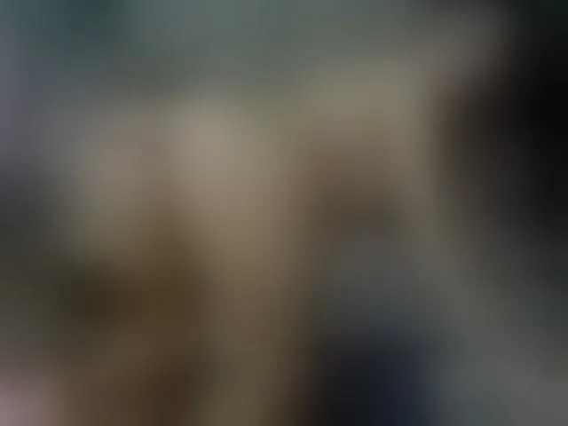 Live sex webcam photo for SelenSummer #294026357