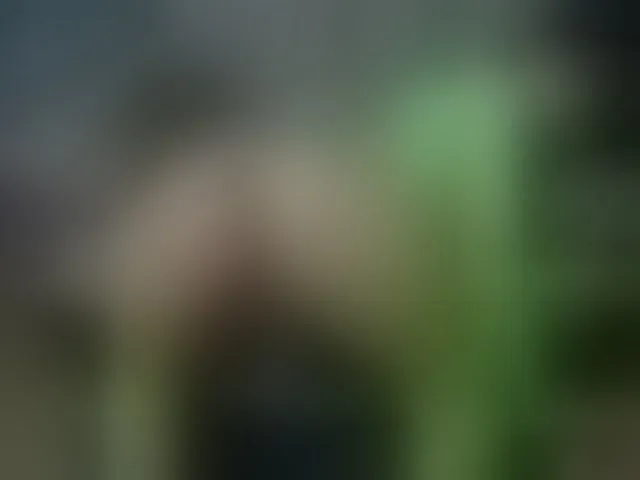 Live sex webcam photo for SelenSummer #294031003