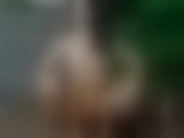 Live sex webcam photo for SelenSummer #294078812