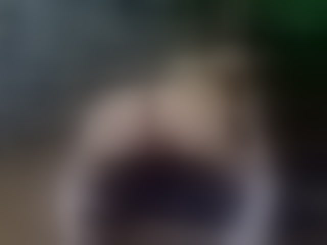 Live sex webcam photo for SelenSummer #294181194