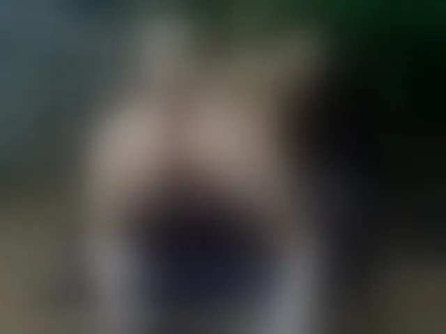 Live sex webcam photo for SelenSummer #294271817