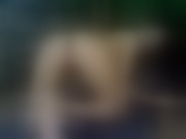 Live sex webcam photo for SelenSummer #294334203