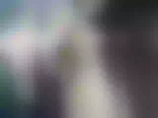 Live sex webcam photo for SelenaAbatti #273883622