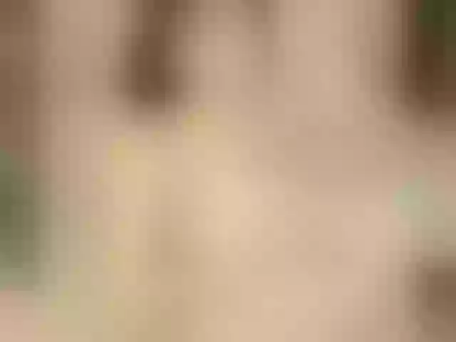 Live sex webcam photo for SelenaMiliss #276842491