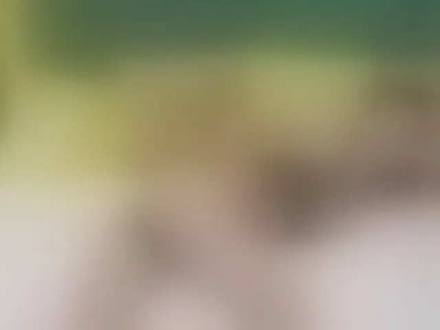 Live sex webcam photo for SerenaBFF #293596791