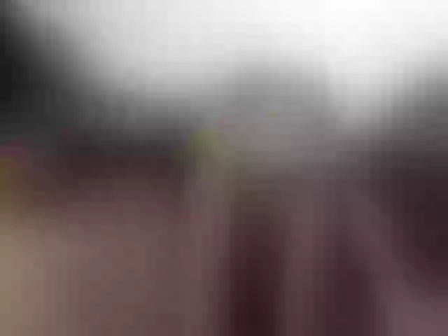 Live sex webcam photo for Sergem202018-1 #276539717