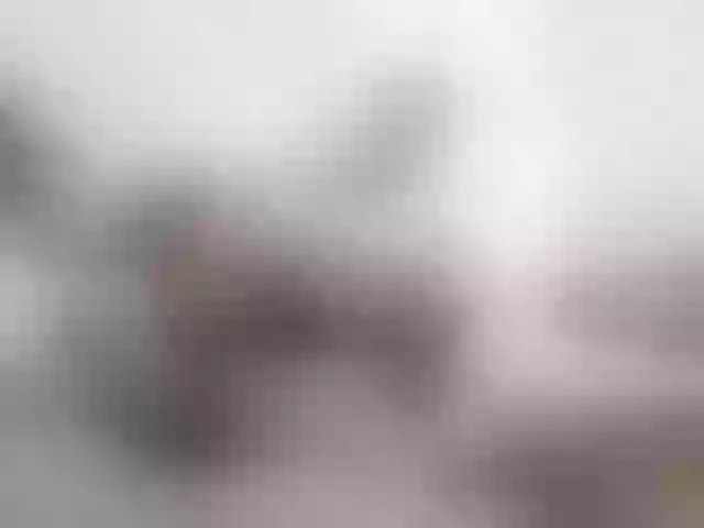 Live sex webcam photo for Sergem202018-1 #276566477