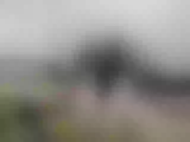 Live sex webcam photo for Sergem202018-1 #277901533