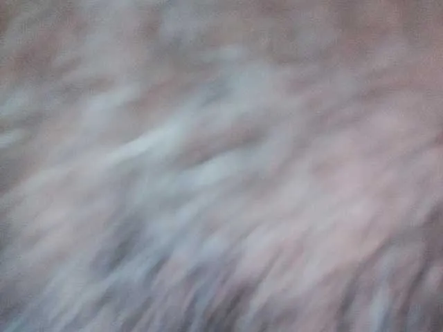 Live sex webcam photo for Sergem202018-1 #278076792