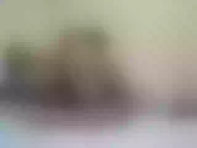 Live sex webcam photo for Sergem202018-1 #278215229