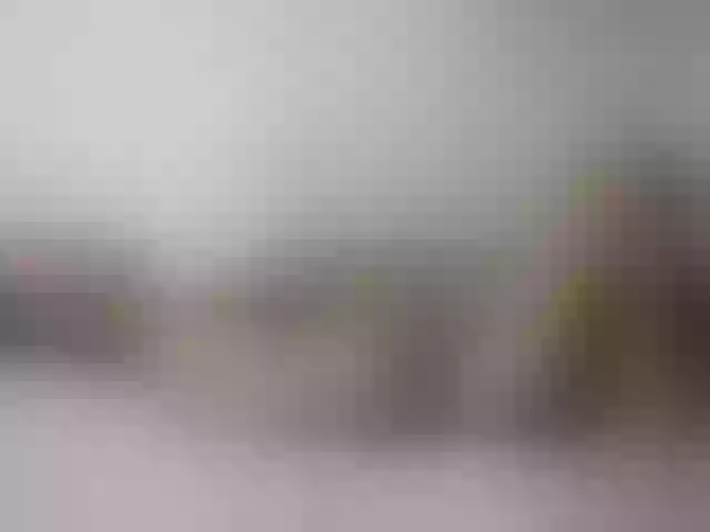 Live sex webcam photo for Sergem202018-1 #289742786