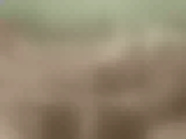 Live sex webcam photo for Sergem202018-1 #290678913