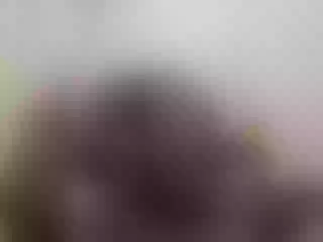Live sex webcam photo for Sergem202018-1 #290946320
