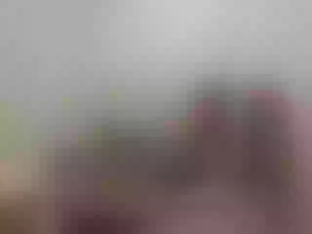 Live sex webcam photo for Sergem202018-1 #291215230