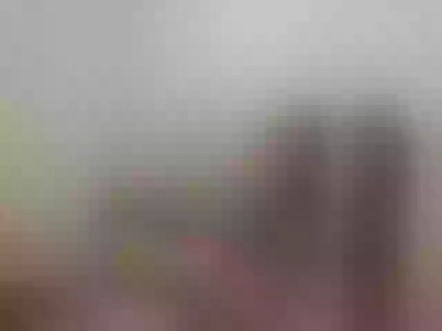 Live sex webcam photo for Sergem202018-1 #291413413