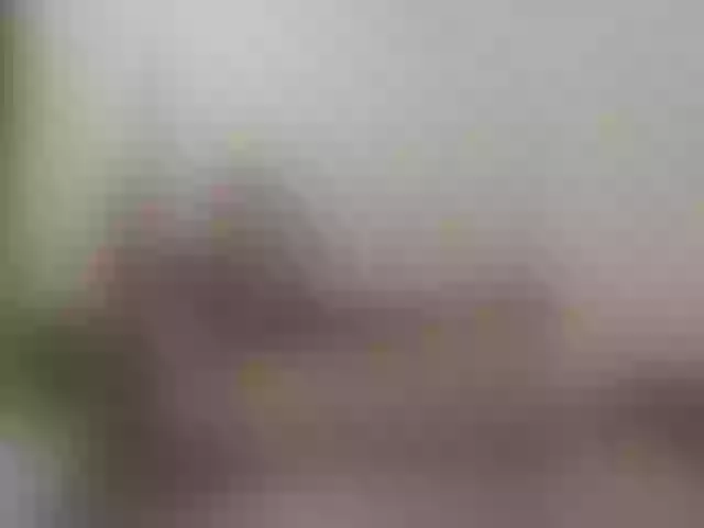Live sex webcam photo for Sergem202018-1 #291544284
