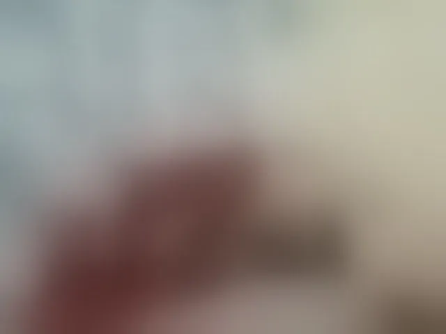 Live sex webcam photo for Sergem202018-1 #292518399