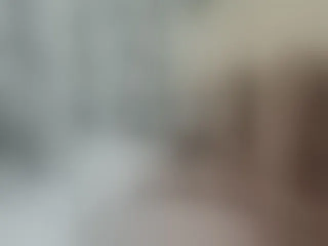 Live sex webcam photo for Sergem202018-1 #292630580