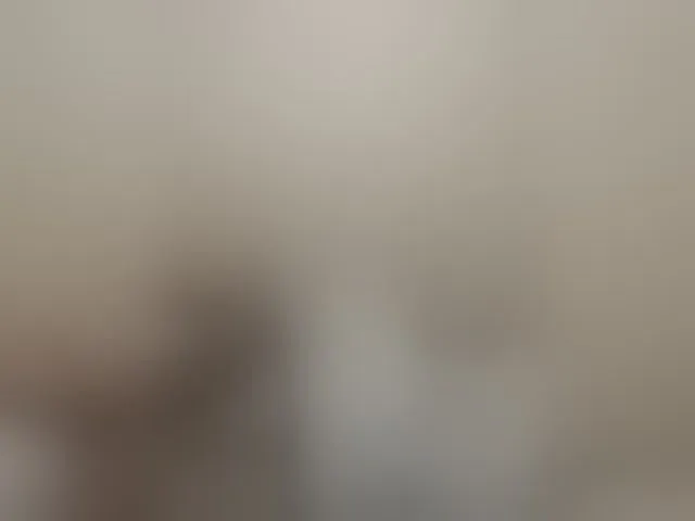 Live sex webcam photo for Sergem202018-1 #292635366