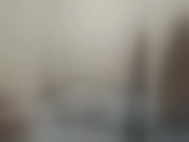 Live sex webcam photo for Sergem202018-1 #292951884