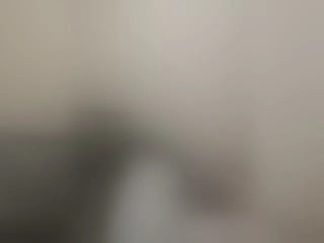 Live sex webcam photo for Sergem202018-1 #293133187