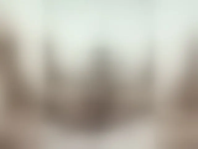 Live sex webcam photo for Sergem202018-1 #293680900