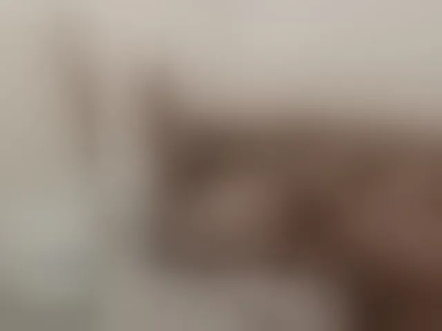 Live sex webcam photo for Sergem202018-1 #293933547