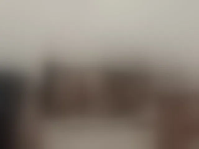 Live sex webcam photo for Sergem202018-1 #293961144