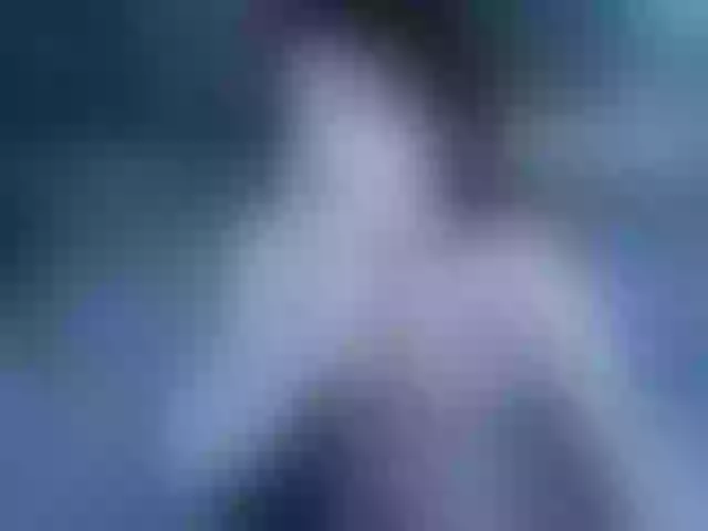 Live sex webcam photo for Setsunai #291461583