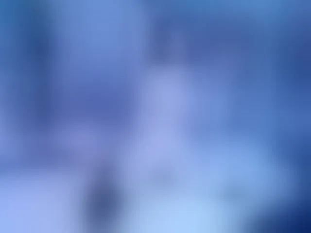 Live sex webcam photo for Setsunai #292345066