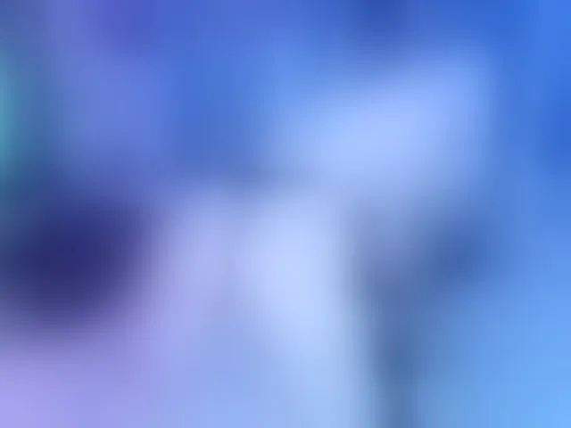 Live sex webcam photo for Setsunai #292398787