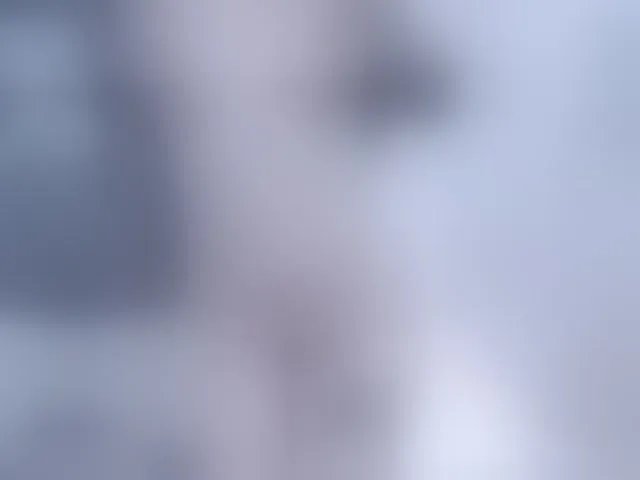 Live sex webcam photo for Setsunai #293585505