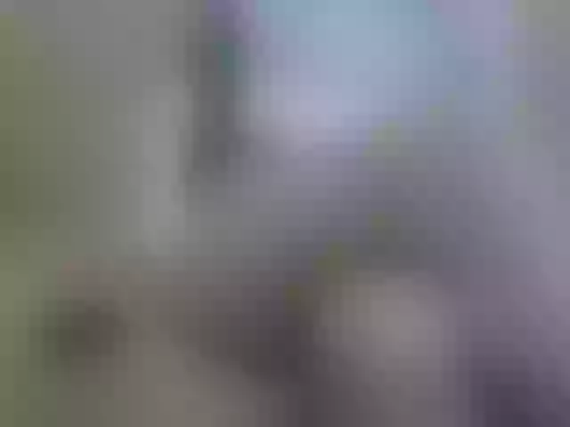 Live sex webcam photo for Sevilay #291960010