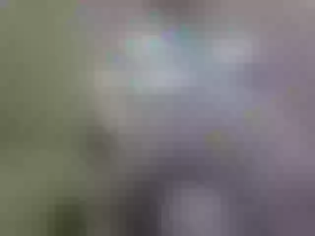 Live sex webcam photo for Sevilay #291971713