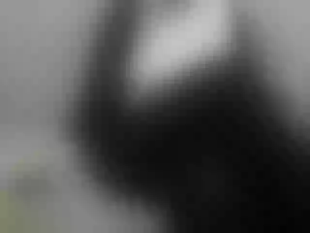Live sex webcam photo for Sevilay #292032204