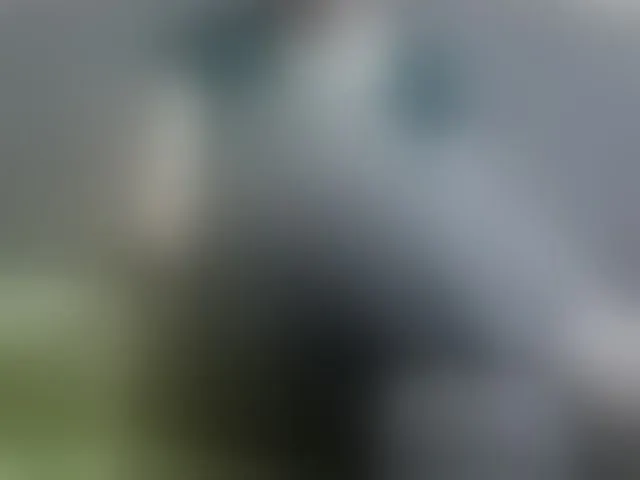 Live sex webcam photo for Sevilay #292594594