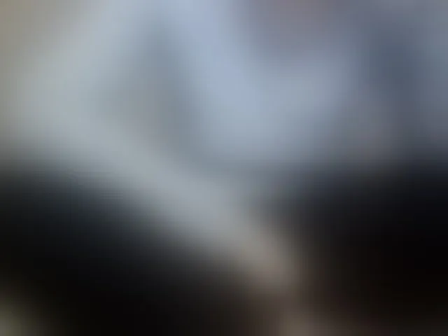 Live sex webcam photo for Sevilay #293288180