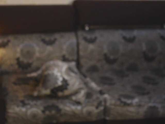 Live sex webcam photo for SexLove12001 #292054395