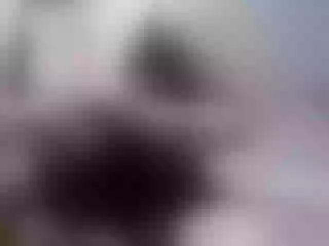 Live sex webcam photo for SexPara696969 #292051164