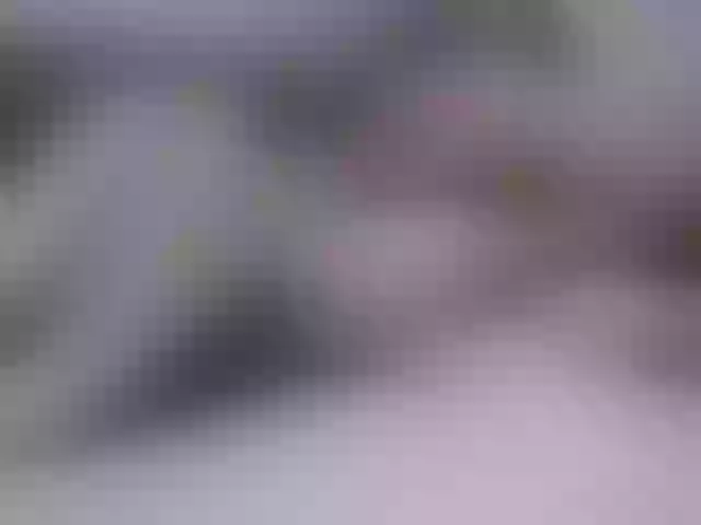 Live sex webcam photo for SexPara696969 #292241086