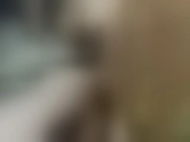Live sex webcam photo for SexPara696969 #292687172