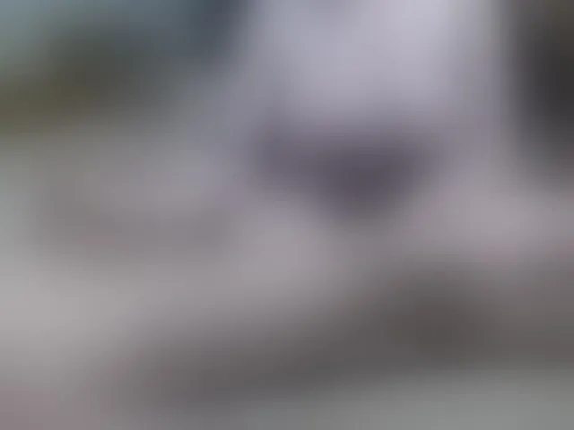 Live sex webcam photo for SexPara696969 #292994931