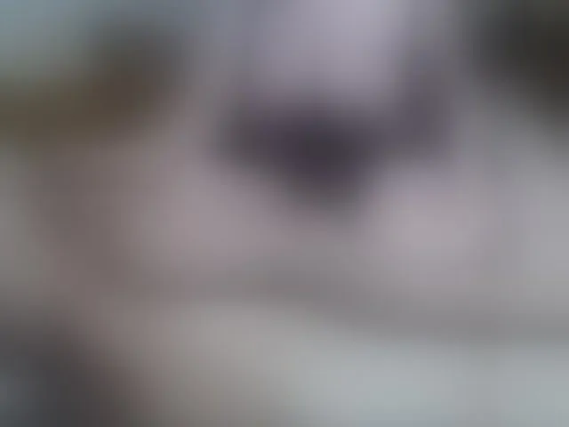 Live sex webcam photo for SexPara696969 #293023231
